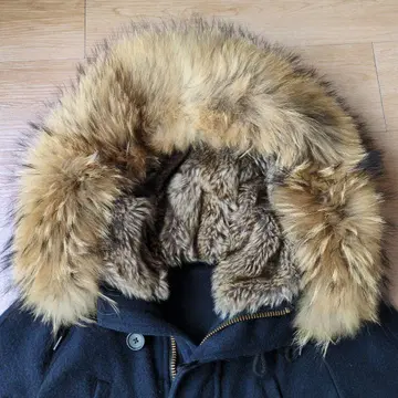 나노 유니버스 니시카와 콜라보