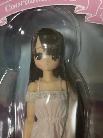 미개봉 새상품 Azone 아존 Sweet Days 아리사 Alisa