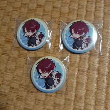 Crazy Raccoon 갓짱마이키