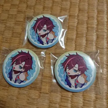 Crazy Raccoon 키나코