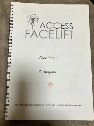 액세스 컨셔스니스 페이스 리프트 영문판