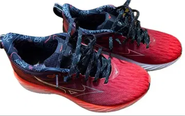 미즈노 웨이브 라이더 28 암스테르담 마라톤 26cm 육상 신발