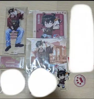 카게치요 묶음 판매