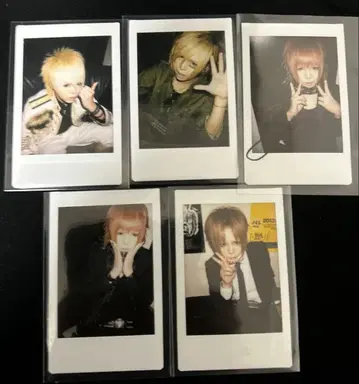 R 지정 마모 폴라로이드