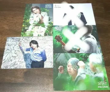 Mrs. GREEN APPLE 포토 카드 5종 세트