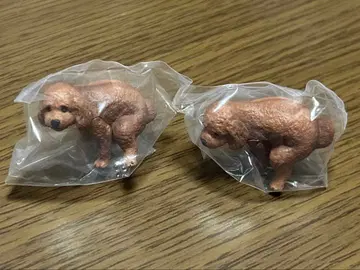 푼바리누 가챠가챠 토이 푸들 가샤폰 2개