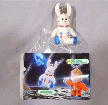 새상품 우주 형제 스윙 Mr. 히빗 참 키링 Mr. Hibbit