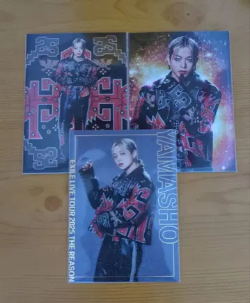 EXILE THE REASON 3장 세트 야마모토 쇼고