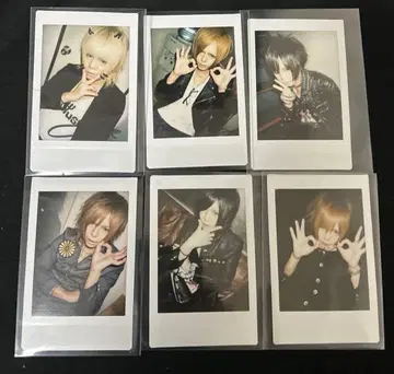 R 지정 마모 폴라로이드