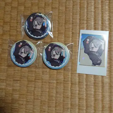 Crazy Raccoon 토토믹스