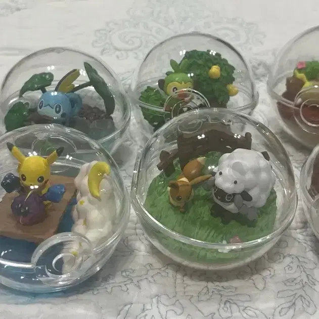 Pokemon Terrarium Galar Region bulk