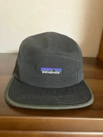 patagonia 캡