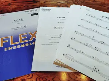 미녀와 야수 플렉스 5 (~8) 중주