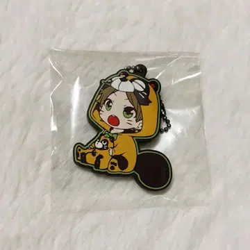 우라시마사카타센 우라타누키 아니라바