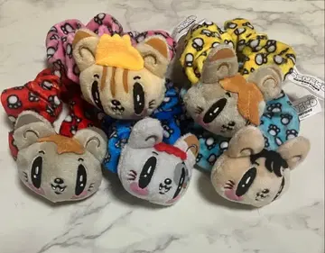 제네고양이 GENERATIONS