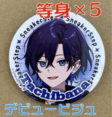 [ 장미 불가 ] 스니스트 타치바나 데뷔 비쥬 등신 x 5점