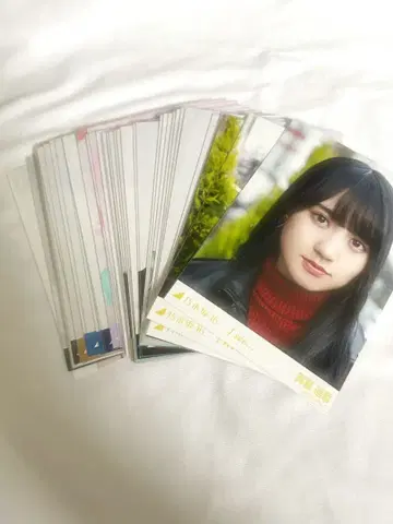 카키 하루카 브로마이드 묶음 판매