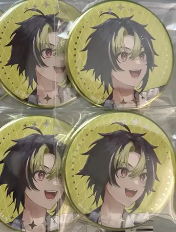 니지산지 Worldtour 고베 공연 이나미 라이 캔뱃지