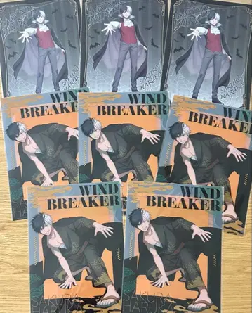 윈드 브레이커 윈브레 사쿠라 하루카 기모노 할로윈 클리어 파일