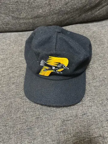 PALACE 블랙 캡 그린 안감