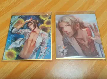 미니 색지 아오이