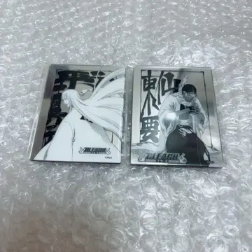 BLEACH 메탈릭 마그넷 히라코 토센