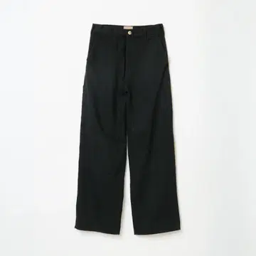 SHISHIKUI Painter pants / BLACK 34