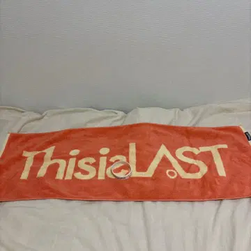 ThisisLAST 타월 러버 밴드