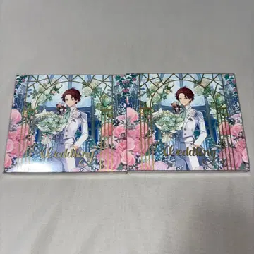 Weddiing 앨범 우라타누키