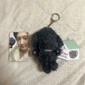 exo 엑소 찬열 도시풍경 솔로 콘서트 굿즈 토벤 트레이딩 카드 포함