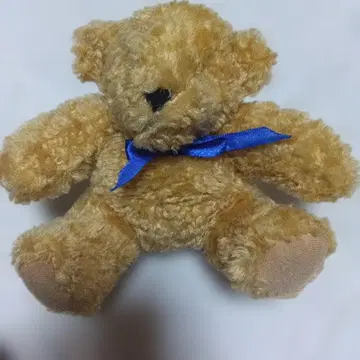 곰의 브라운 봉제 인형
