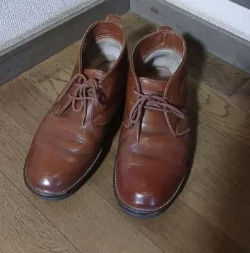 Danner D7504 브라운 가죽 처카 부츠