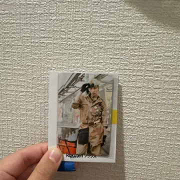 하세가와 신 라쿠텐 라키도로