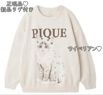 1000엔 가격 인하 중 젤라또피케 cat 캣 자카드 풀오버