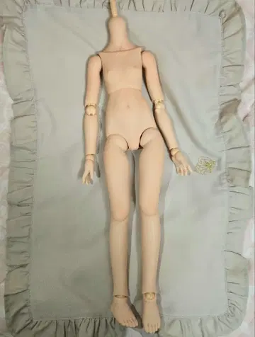 돌피드림 MDD 베이스 바디 프레쉬 스킨 하자 있음