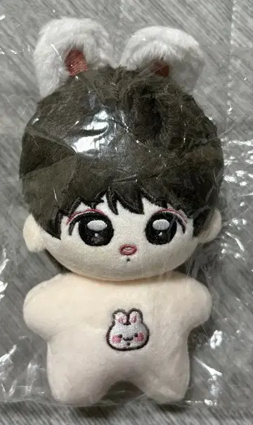 BTS 정국 JUNGKOOK 봉제 인형 10cm