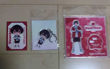 유안군 컬러풀피치 카라피치 신 비쥬