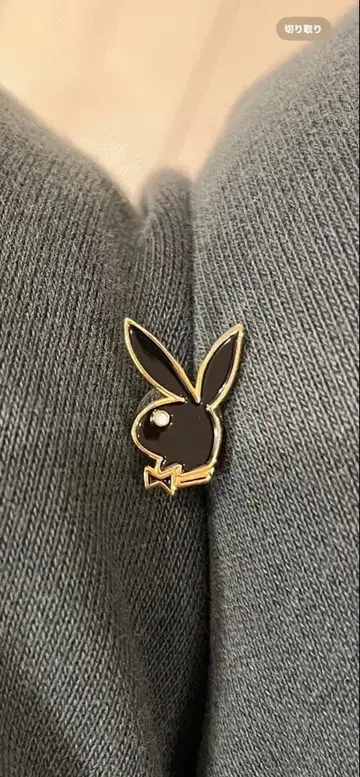 플레이보이 핀 배지