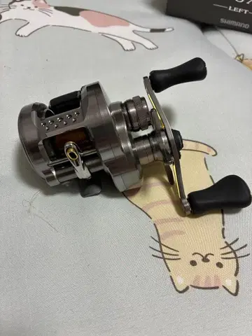 23 칼카타 콩퀘스트 BFS XG 왼쪽 핸들