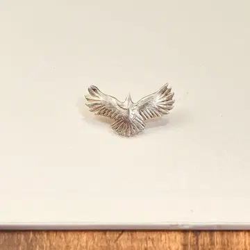 애리조나 프리덤 극소 사이즈 이글 탑 손이글