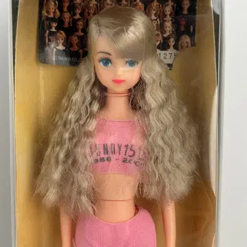 타카라 제니 프렌드 브라운 박스 셰리