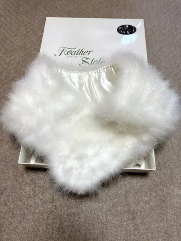 성인식 페더 퍼 숄