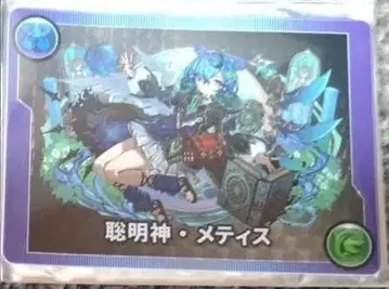 총명신 메티스 메모리 카드 퍼즐 앤 드래곤 간호 투어 2025