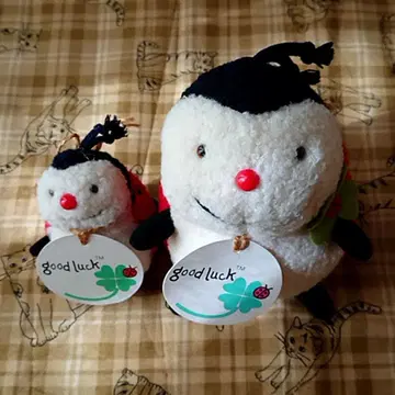 동심 good luck 무당벌레 인형 세트