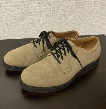 레드윙 포스트맨 9104 세이지 8.5D