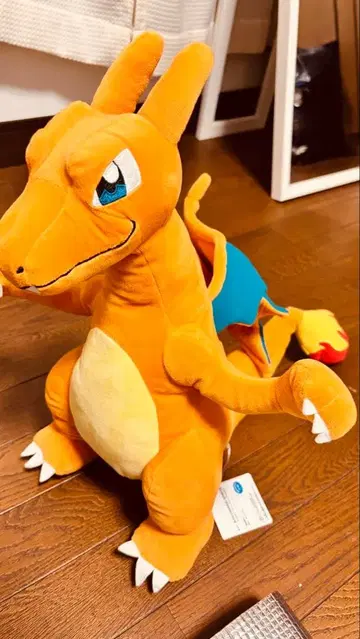 리자몽 봉제 인형