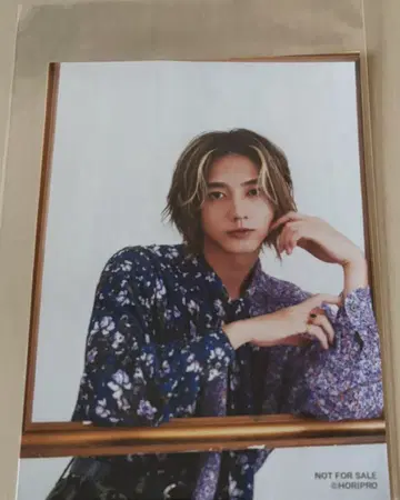 코마키네 아오타 2025년 달력 특전 브로마이드 2