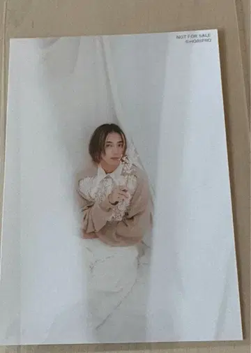 코마키네 아오타 2025년 달력 특전 브로마이드 5