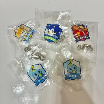 소닉 더 헤지혹 엠블럼풍 아크릴 키링 세가 스토어