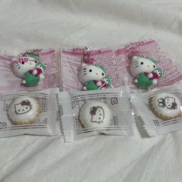 헬로키티 31 참 2025